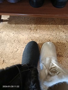 Ольга Жданова